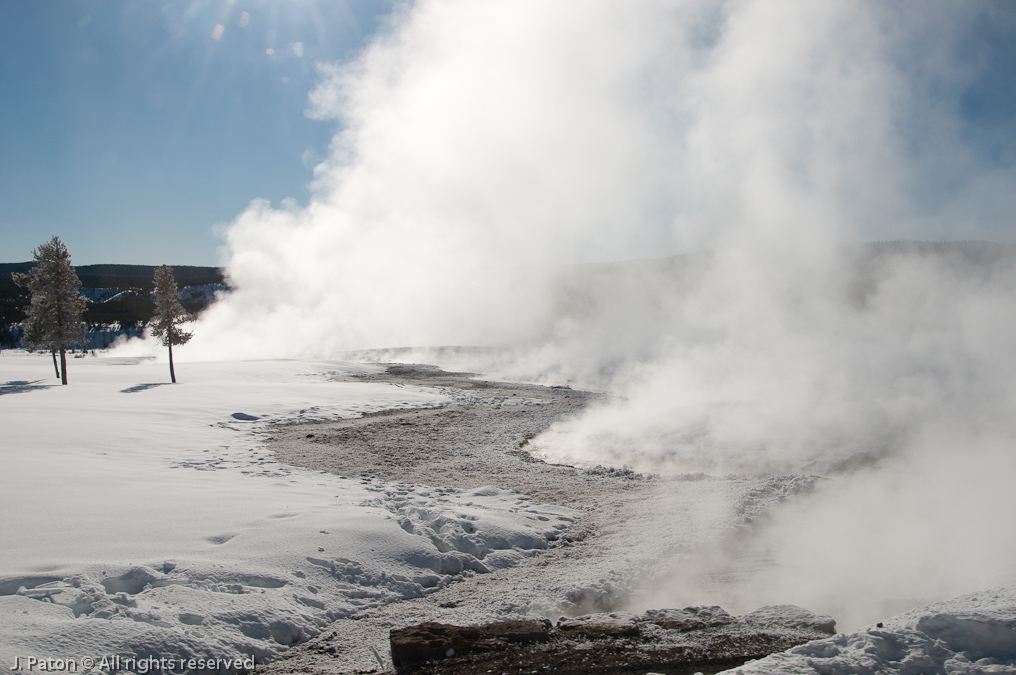 Steam near Madison Junction   Madison Junction, Yellowstone National Park, Wyoming