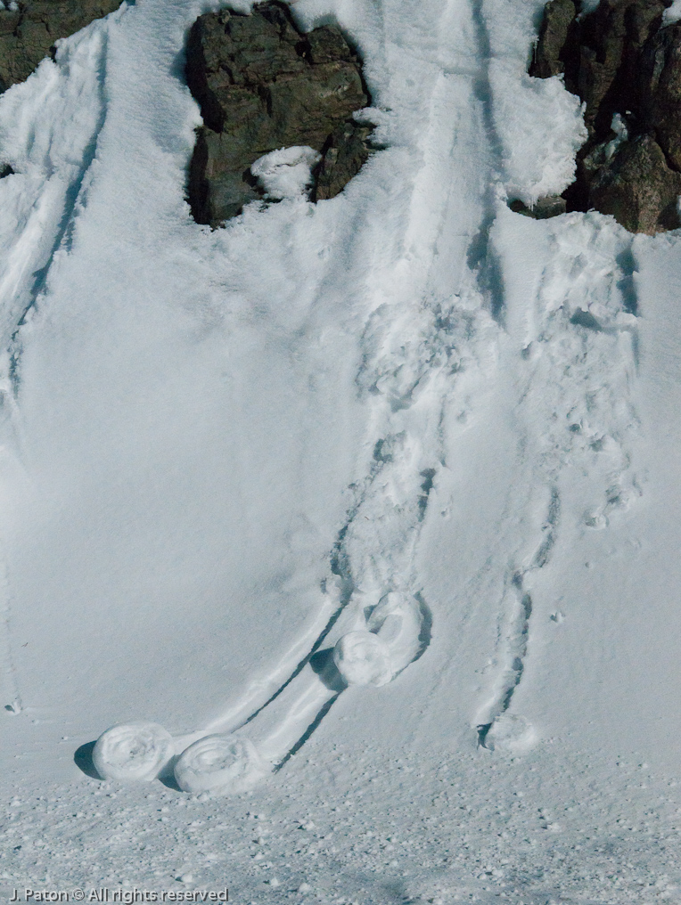 Snow Donuts?   Yellowstone National Park, Wyoming