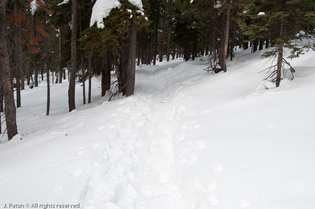 Trail from Observation Point to Solitary Geyser   Old Faithful Area, Yellowstone National Park, Wyoming