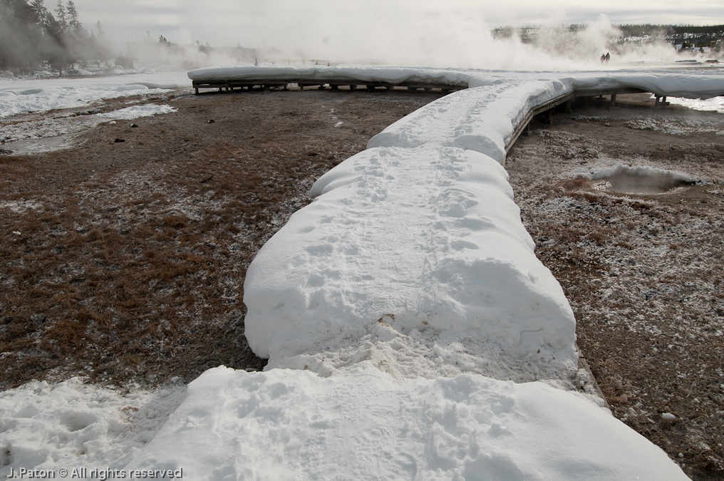 Bison Path over Boardwalk   Old Faithful Area, Yellowstone National Park, Wyoming