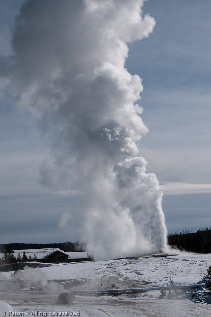Old Faithful Eruption   Old Faithful Area, Yellowstone National Park, Wyoming