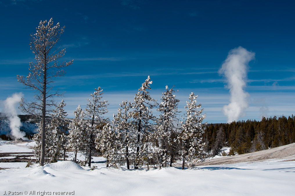    Old Faithful Area, Yellowstone National Park, Wyoming