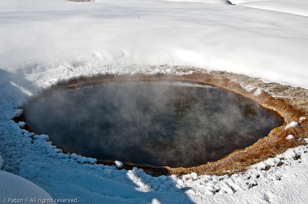 Steamy Reflection   Old Faithful Area, Yellowstone National Park, Wyoming