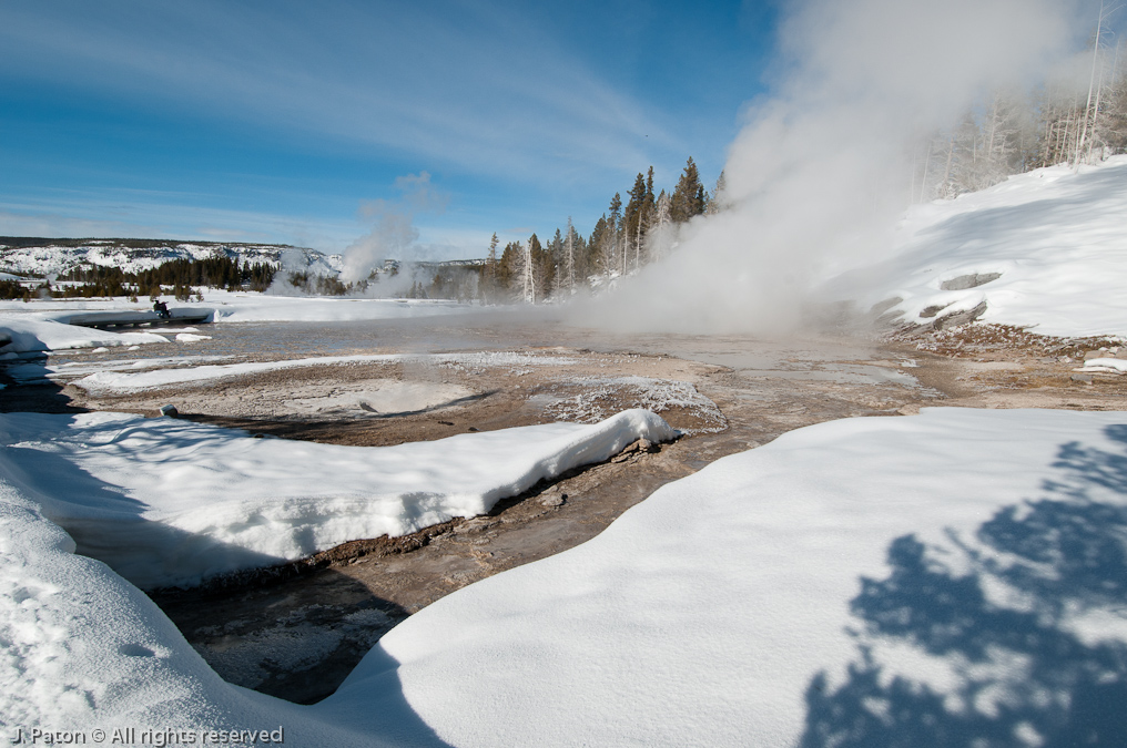 Grand Geyser Steam   Old Faithful Area, Yellowstone National Park, Wyoming