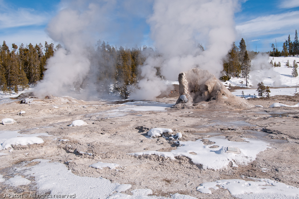 Giant Geyser   Old Faithful Area, Yellowstone National Park, Wyoming