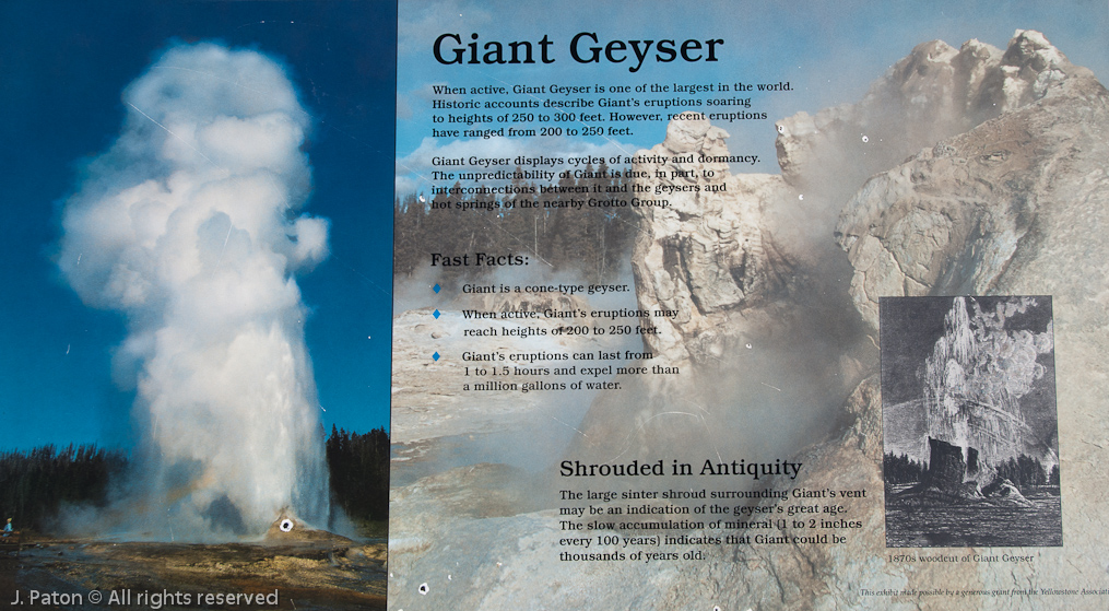 Giant Geyser Information   Old Faithful Area, Yellowstone National Park, Wyoming