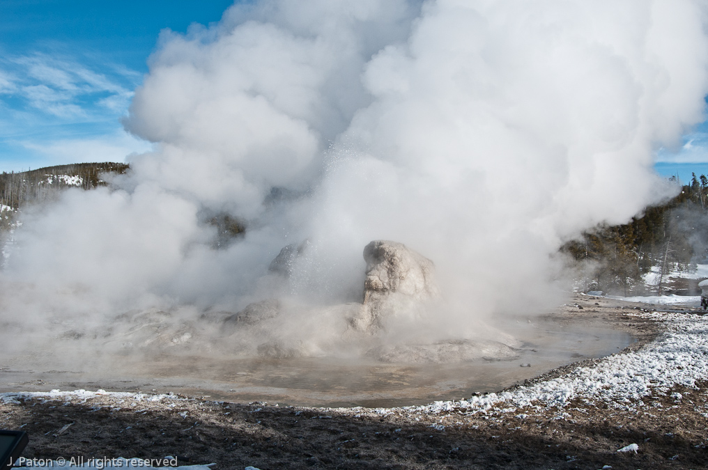 Grotto Geyser   Old Faithful Area, Yellowstone National Park, Wyoming