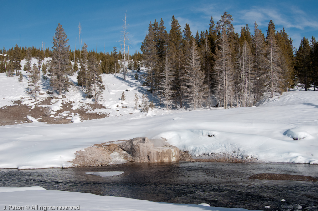 Riverside Geyser   Old Faithful Area, Yellowstone National Park, Wyoming