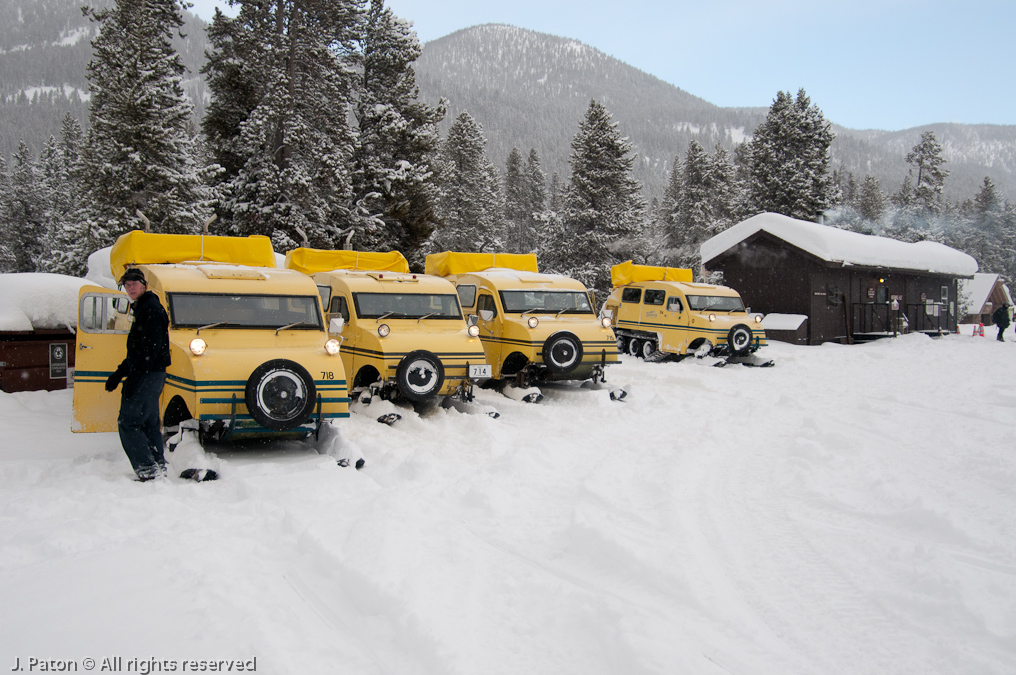 Busy Day at the Warming Hut   Madison Junction, Yellowstone National Park, Wyoming
