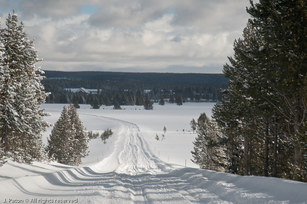 First Look at the Canyon Village Area   Canyon Area, Yellowstone National Park, Wyoming