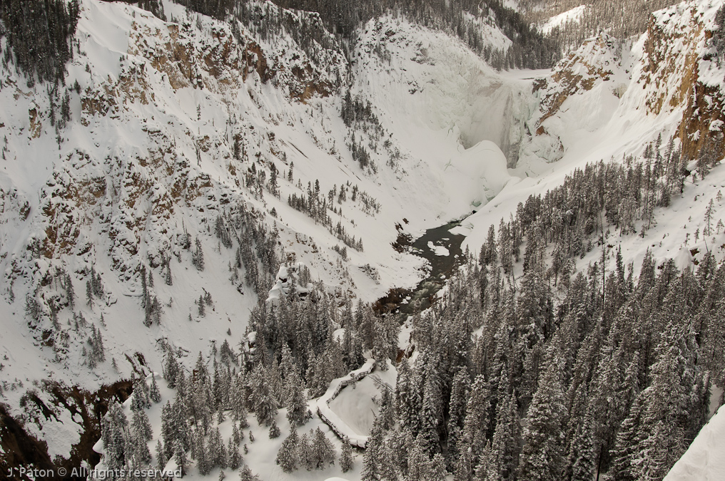    Canyon Area, Yellowstone National Park, Wyoming