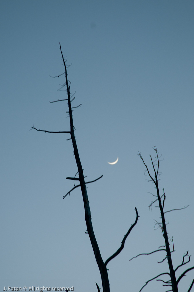 The End of a Good Day   Yellowstone National Park, Wyoming