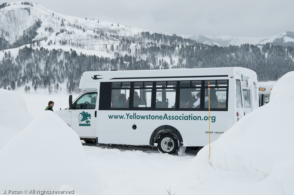 Wolf Discovery Tour Van   Lamar Valley, Yellowstone National Park, Wyoming