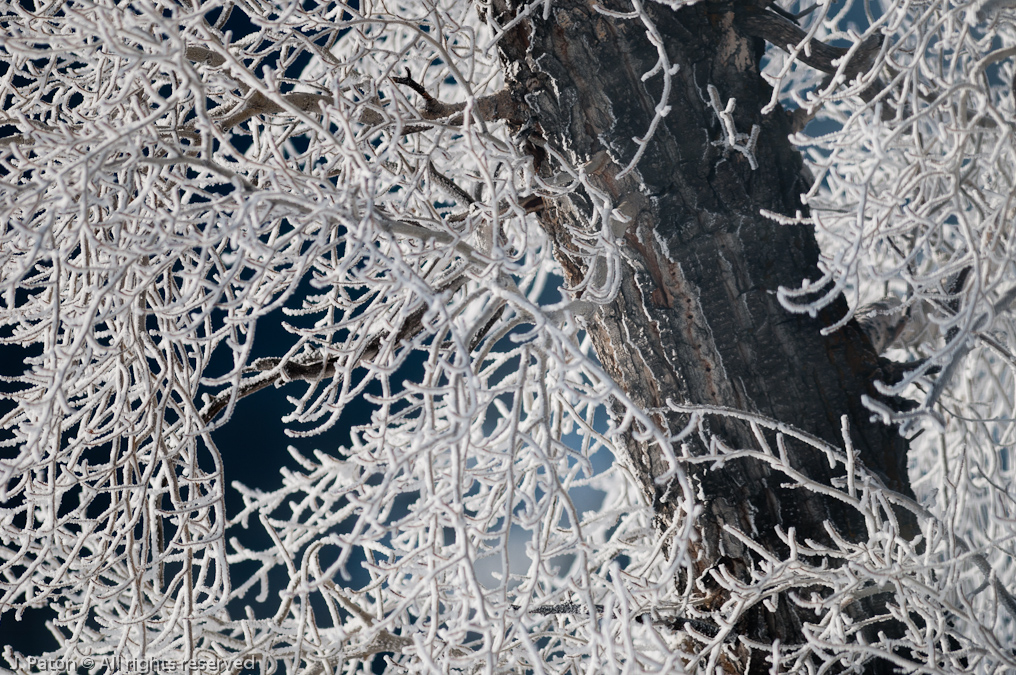    Lamar Valley, Yellowstone National Park, Wyoming