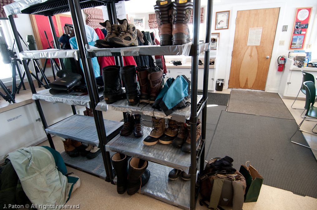 No Wet Boots   Lamar Valley, Yellowstone National Park, Wyoming