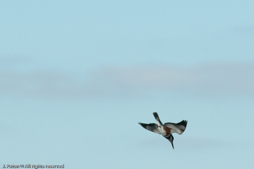    Viera Wetlands, Florida