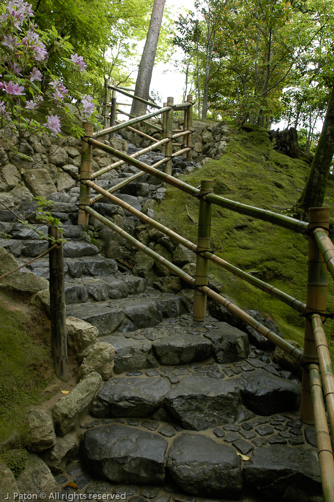 Steps Near Ginkakuji, the Silver Pavilion   Kyoto, Japan