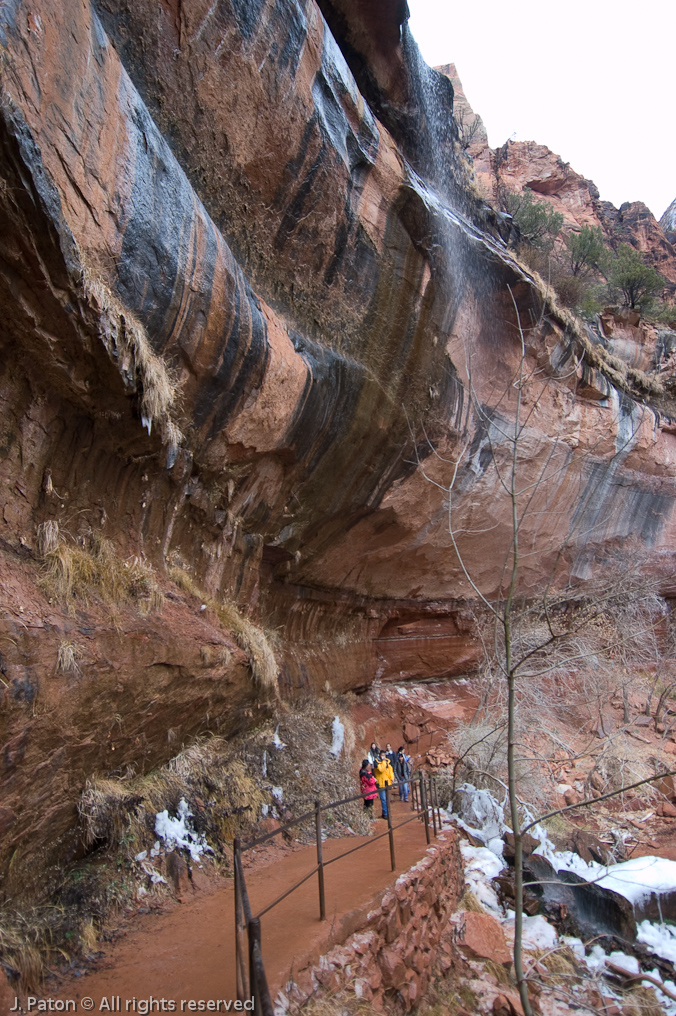    Zion National Park, Utah