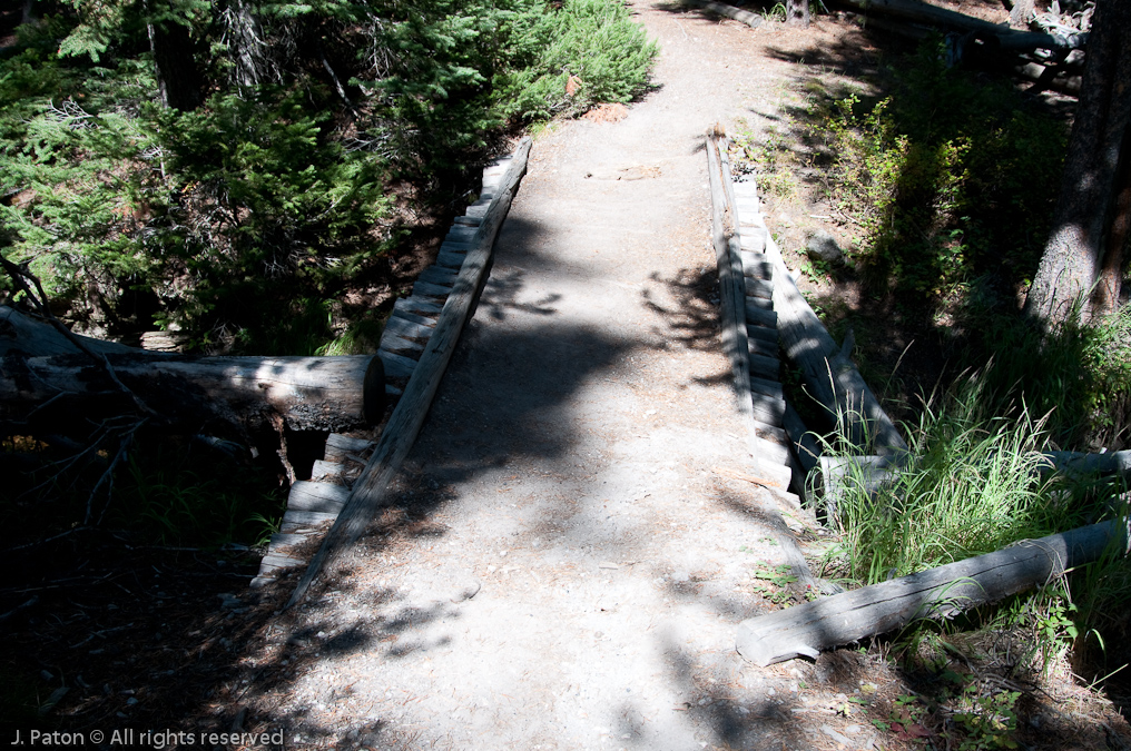    Canyon Area, Yellowstone National Park, Wyoming
