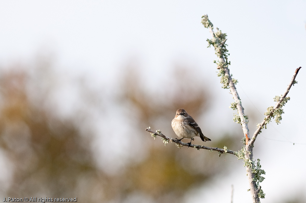    Black Point Drive, Merritt Island National Wildlife Refuge, Florida