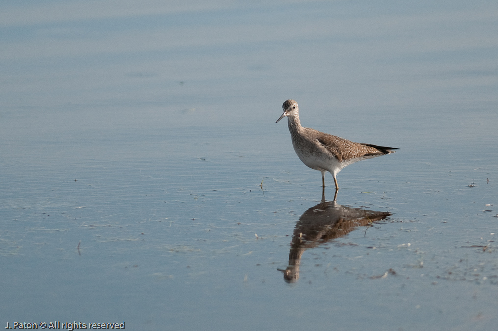    Biolab Road, Merritt Island National Wildlife Refuge, Florida