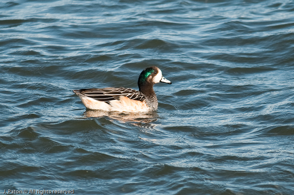    Puerto Natales, Chile