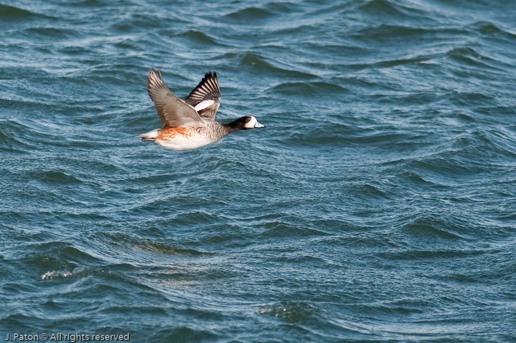    Puerto Natales, Chile