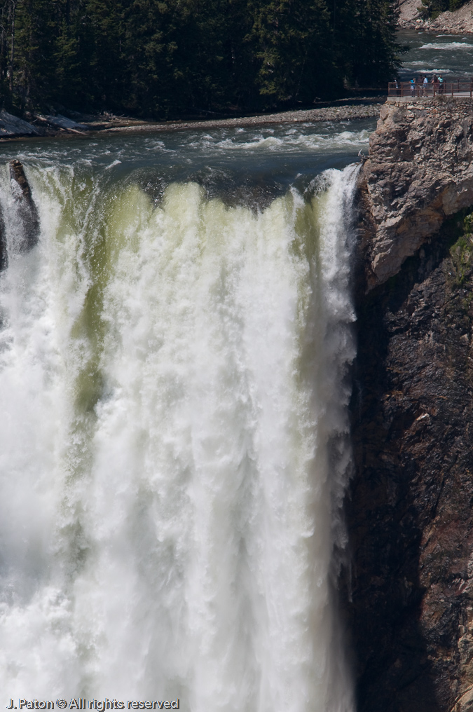 View of the Lower Falls from Artist Point   Brink of the Lower Falls, Yellowstone National Park