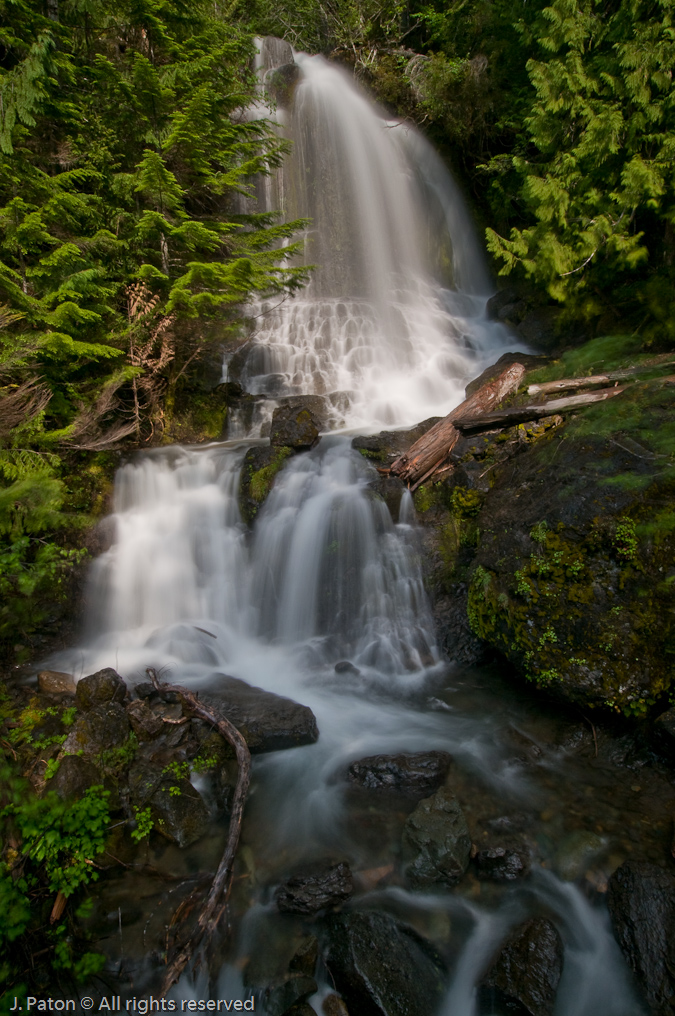 Creek Falls   Mount Rainier National Park