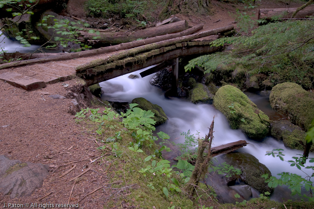 Foot bridge Near Silver Falls   Mount Rainier National Park, Washington State