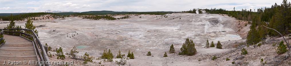 Porcelain Basin   Norris Geyser Basin, Yellowstone National Park, Wyoming