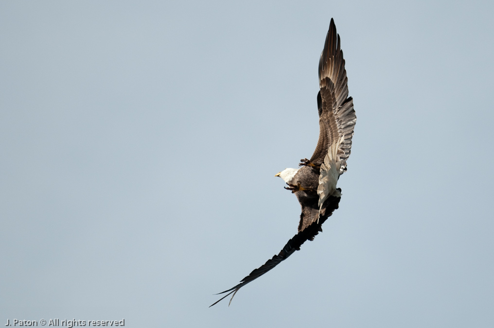 A Quick Change in Direction   North Entrance, Merritt Island National Wildlife Refuge, Florida