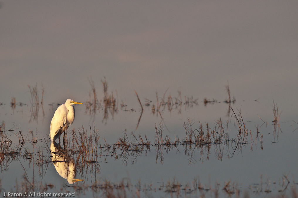    Black Point Drive, Merritt Island National Wildlife Refuge, Florida